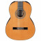 قیمت خرید فروش گیتار کلاسیک  Ibanez G850 NT